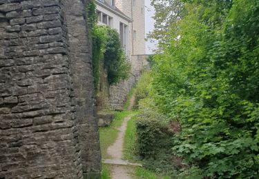 Tour Pfad Chaumont - au pied des remparts  - Photo