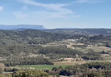 Tocht Stappen Lambesc - Chaîne des Côtes  - Photo