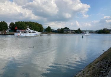 Trail Walking Honfleur - Honfleur - Photo