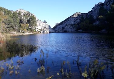 Tour Wandern Saint-Rémy-de-Provence - Alpilles - Photo