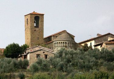 Tour Zu Fuß Terranuova Bracciolini - IT-39 - Photo