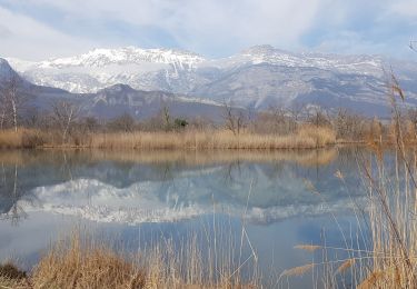 Percorso Camminata nordica Varces-Allières-et-Risset - De la plaine de  Reymure au canal de Malissolles - Photo