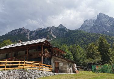 Tour Zu Fuß Malborgeth-Wolfsbach - IT-651 - Photo