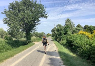 Tour Wandern Mouriès - Caisses Jeanjean golf Servanes (boucle) - Photo