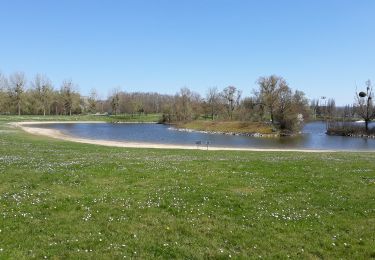 Percorso Marcia Amfreville-sous-les-Monts - 20250401-poses - Photo