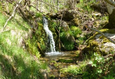 Tour Wandern Mayres - Mayres Chaumiène 12km - Photo