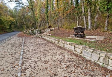 Trail Walking Villeneuve-sur-Auvers - Site géologique et Trou du sarrazin - Villeneuve-sur-Auvers - Photo