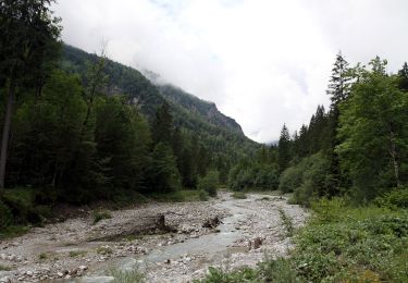 Tour Zu Fuß Gemeinde Kirchdorf in Tirol - Wanderweg 20 - Feldberg/Scheibenbichlalm/Kaisertal - Photo