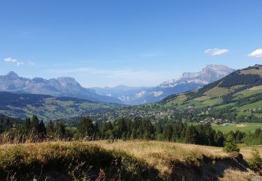Trail Walking Megève - Descente de Pré Rosset à Javen.   - Photo