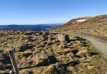 Tour Wandern La Bourboule - lac de Quercy depuis la Bourboule - Photo