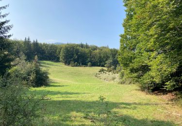 Trail Walking Saint-Agnan-en-Vercors - Col de soulier - Photo