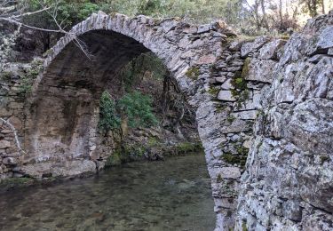 Randonnée Marche Corscia - Corscia par l’ancienne Scala, retour par les gorges de la Ruda - Photo