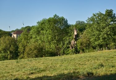 Trail On foot Lichtenau - A1 (Dalheim) - Photo