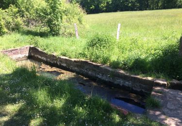 Trail Walking Collonges-la-Rouge - Collonge les lavoirs  - Photo