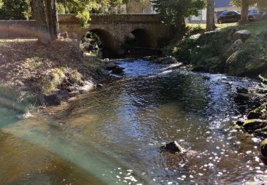 Trail Walking Saint-Julien - Chaos du Fouet matin - Photo