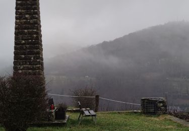 Tour Wandern Berdorf - Entre Luxembourg et Allemagne  - Photo