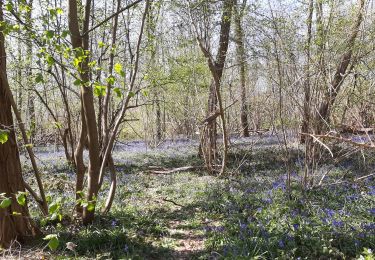 Tour Wandern Estinnes - Beau séjour 24 avril 21 - Photo