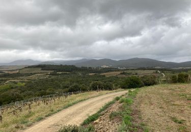 Tocht Stappen Laurens - Balade vigne L’Oustal - Photo