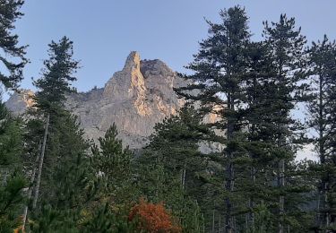 Trail Walking Ventavon - VENTAVON Font Sale Pas de Roche Rousse  col de Peyssier   les Oustaus . MF Bonsecours o m s - Photo