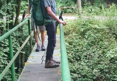 Trail Walking Sewen - Rando Marcheurs du 03/07/2025 par ALAIN - Photo