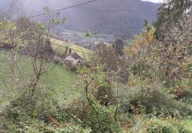 Trail On foot Saint-Pé-de-Bigorre - SAINT PE DE BIGORRE Le grand tour de saint pe 