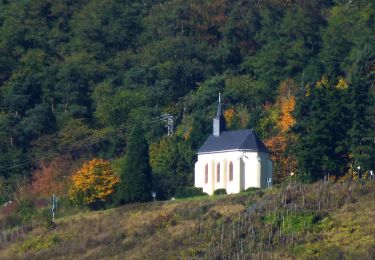 Randonnée A pied Kröv - Kinheim - Reil - Photo