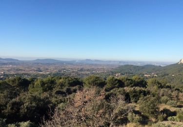 Excursión Senderismo Mérindol - PF-Mérindol - Les Drailles Mérindolaises 2019 - 3ème édition  - Photo