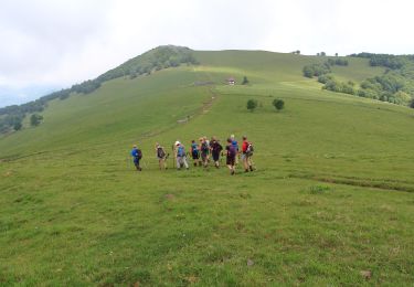 Tour Wandern Masevaux-Niederbruck - Le ROOSBERG-1 - Photo