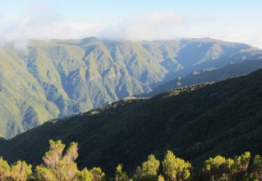 Excursión A pie Calheta - Levada do Alecrim - Photo