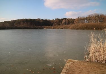 Trail On foot Hartl - Hofwald-Weg (A3) - Photo