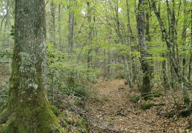 Tocht Mountainbike Bergesserin - bergesserin. château buffiere  - Photo