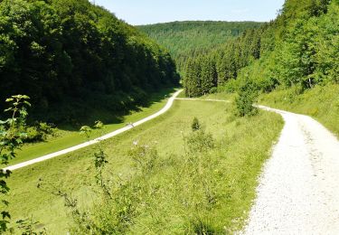 Randonnée A pied Gomadingen - Löwenpfade: Filsursprung-Runde - Photo