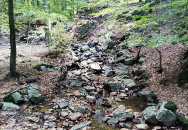 Trail Walking Spa - La promenade des artistes (7,6km) - Photo