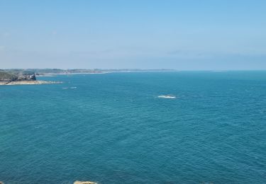 Trail Walking Cancale - la pointe du grouin 35 ALA 31 JUIN 2023 - Photo