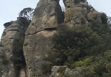 Tour Wandern Saint-Jean-de-la-Blaquière - Le Rocher des Vierges - Photo