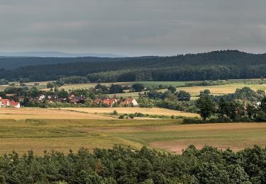 Tour Zu Fuß Schönbrunn i.Steigerwald - Rundweg Schönbrunn S 2 