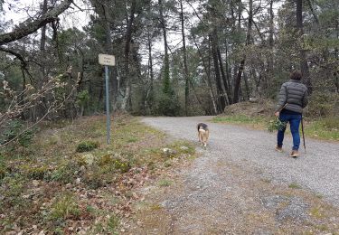 Randonnée Marche Sanilhac - Sanilhac du pezenas au Blachis - Photo