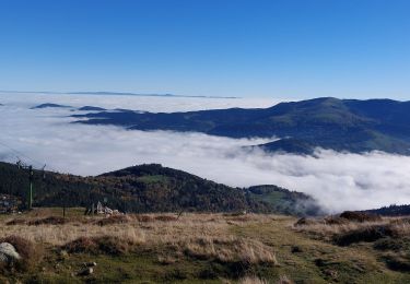 Excursión Senderismo Stosswihr - sentier des roches - Photo