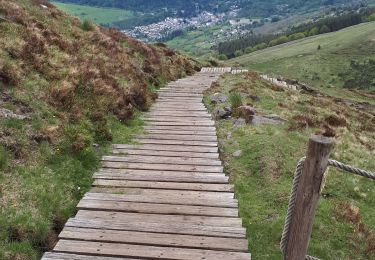 Tocht Stappen La Bourboule - Banne d'ordanche - Photo