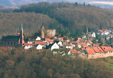 Tour Zu Fuß Neckarsteinach - Rundwanderweg Neckarsteinach Kaisereiche 10: Goetheblick-Weg - Photo