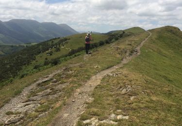 Tour Wandern Espelette - Erreka mondarain col des veaux - Photo