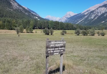 Trail Walking Val-des-Prés - Briançon le Vacher - Photo