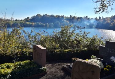 Excursión A pie Schalkenmehren - Wikiloc Dauner Maare (PVDB) - Photo