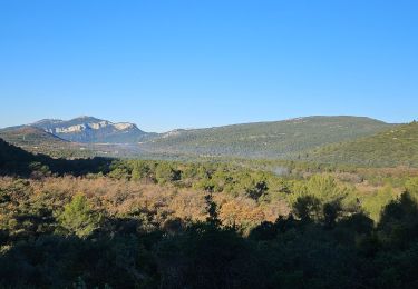 Randonnée Marche La Farlède - Petit Coudon en partant de La Farlède - Photo