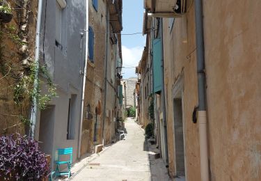 Trail Walking Nébian - garrigues  - Photo