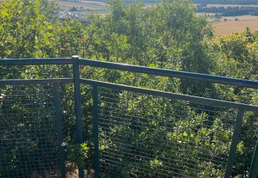 Trail Walking Flavignerot - Flavigny Roy - Photo