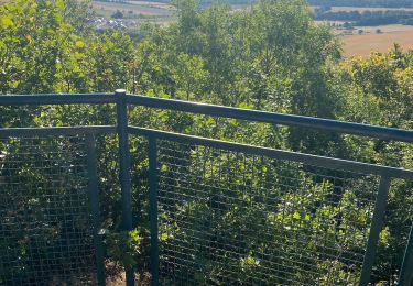 Tocht Stappen Flavignerot - Flavigny Roy - Photo