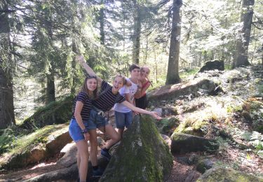 Excursión Senderismo La Bresse - Lac des Corbeaux - Photo