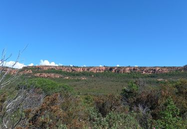 Tocht Stappen Le Muy - Le Rouet Vignes - Photo