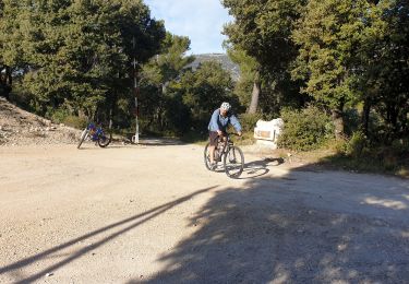 Tour Mountainbike Riboux - Riboux le Latay - Photo